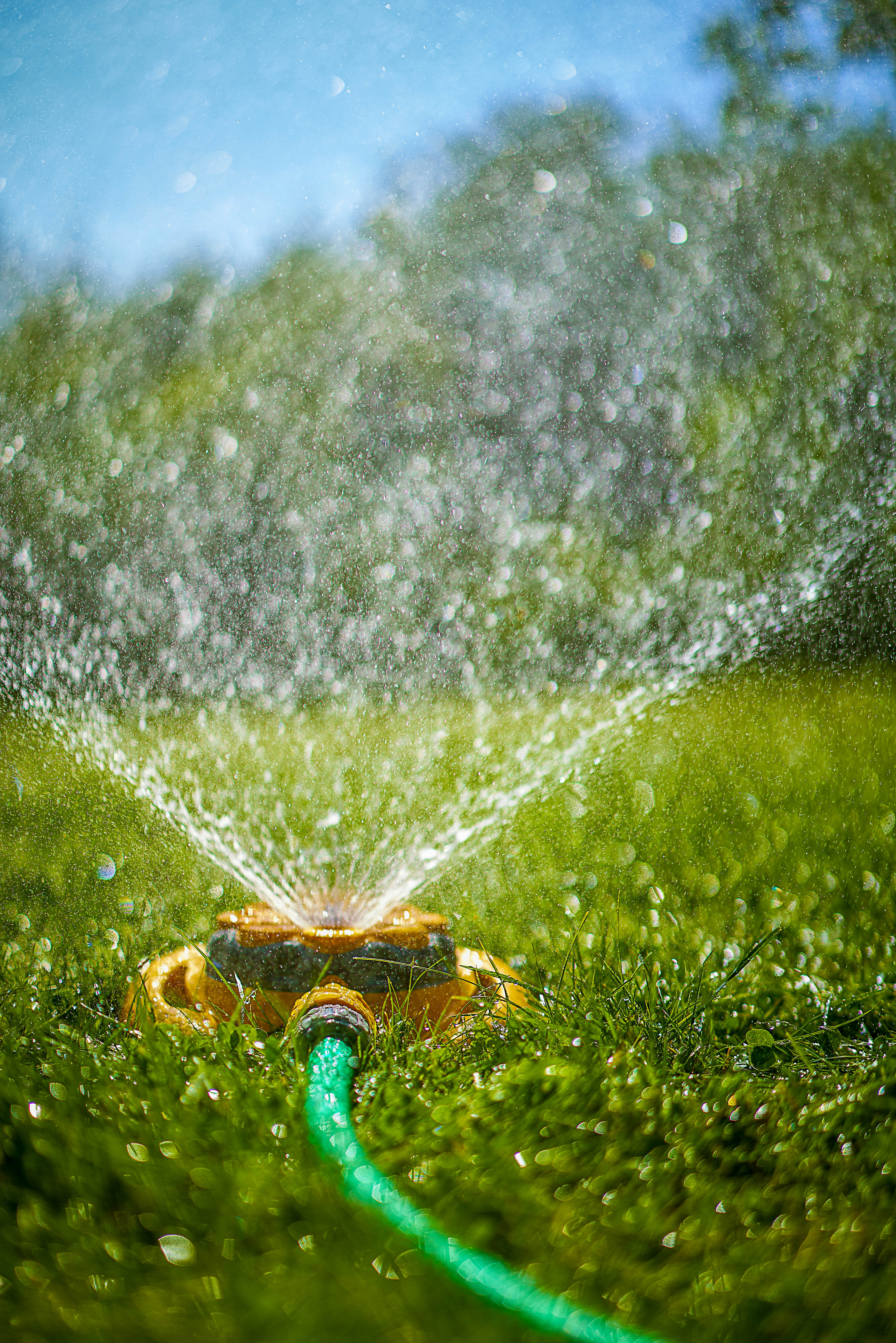 save water