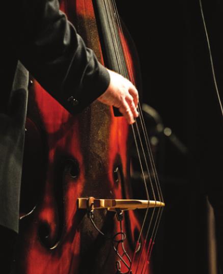 Alt Text for Image