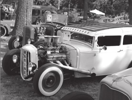 Alt Text for Image
