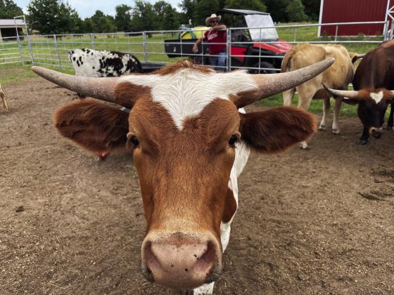 Crescent Veteran Awarded Farming Grant