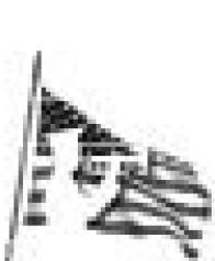 Alt Text for Image