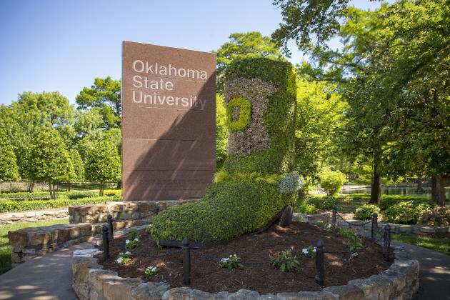 OSU makes gains in News and World Report rankings