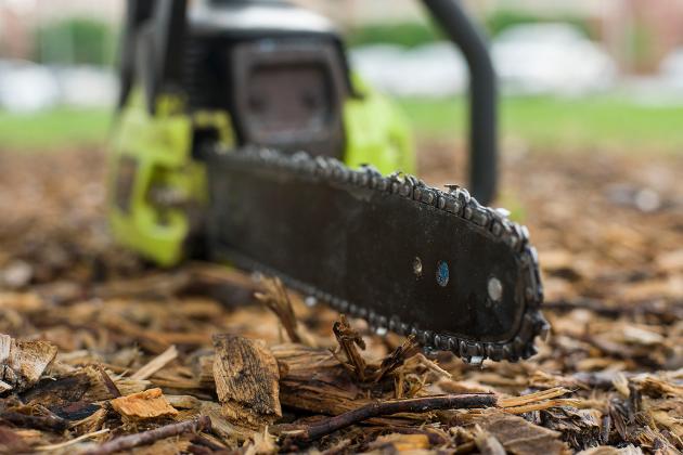 Chainsaws deserve cautious respect in removing tree limbs. (Photo by Todd Johnson, OSU Agricultural Communications Services)