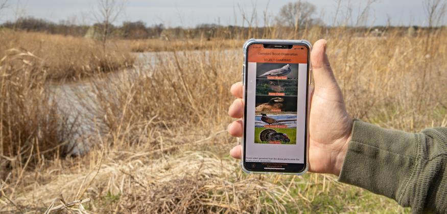 A smartphone app developed at Oklahoma State University helps the Oklahoma Department of Wildlife Conservation provide the public with more accurate hunting forecasts. (Photo by Todd Johnson, Agricultural Communications Services)