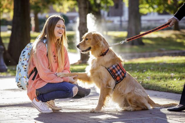 A Pete's Pet Posse dog interacts with a student at Oklahoma State University in Stillwater. This fall, the university will open the OSU Center for Pet Therapy.