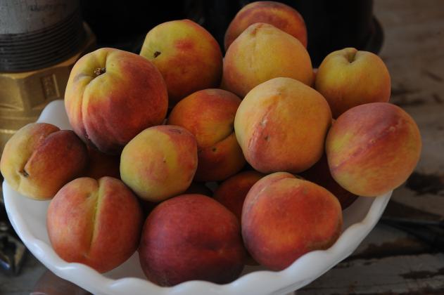 Oklahoma is home to historic annual festivals that celebrate local communities and the bounty of summer fruit crops. (Photo by Todd Johnson, OSU Agricultural Communications Services)