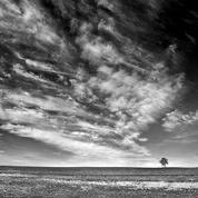 Ken Crowder (Tonkawa), Looking West, Digital Archival Photograph.