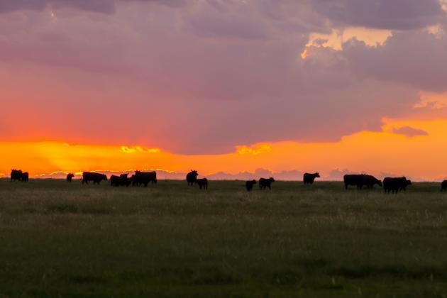 The event is an opportunity for rural renewal scientists to address the challenges faced in rural communities. (Photo by Todd Johnson, OSU Agricultural Communications Services)