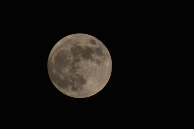 Partial Lunar Eclipse (Photos courtesy of Brett Tennyson)