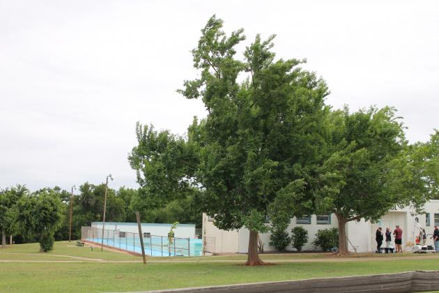 Guthrie YMCA Cleans up Community Pool