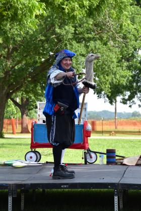 ren faire