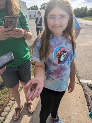butterflies release