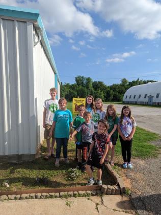 butterflies release