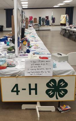 4-H Exhibits Photo Submitted