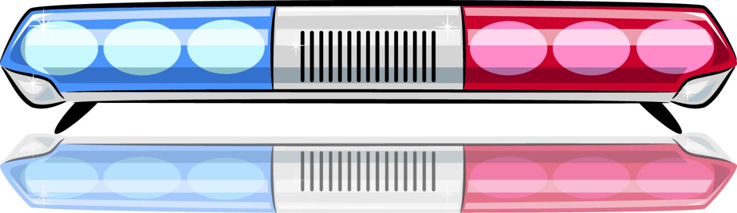 Alt Text for Image