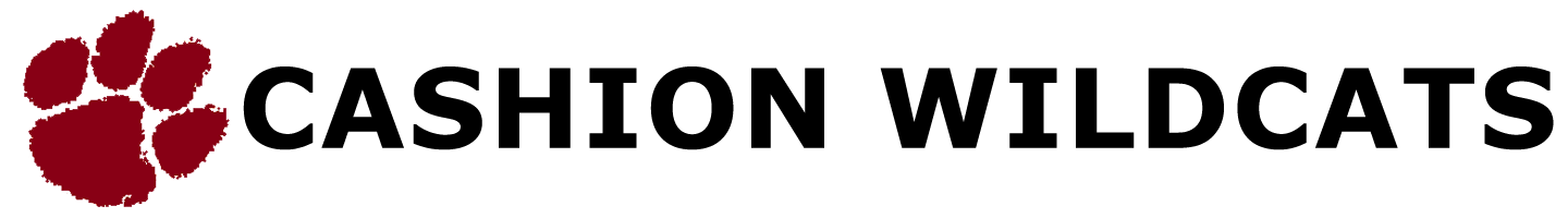 Alt Text for Image