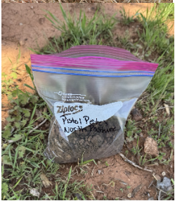 Soil Sample Procedure
