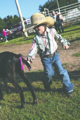 Five-year-old Brexli Perkins of Wilson competes in the goat undecorating event during the Guthrie Youth Rodeo on Saturday at the Logan County Fairgrounds.