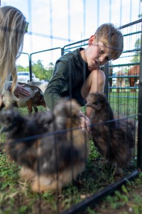 Kids love on the animals at the Crescent July 4th event