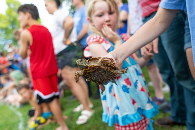 Turtles were invited to the Crescent July 4th event