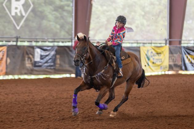 Little Britches is on the go!