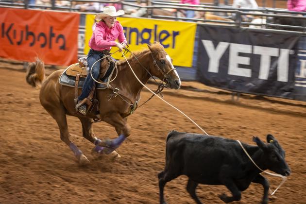 Calf Roping