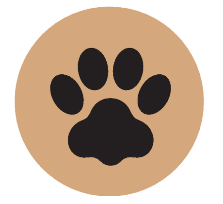 How to keep our furry friends safe in extreme heat.