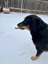 Snow Day Fun - Deanne Duehning
