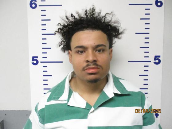 Michael Brendaniel Adeniran