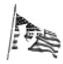 Alt Text for Image