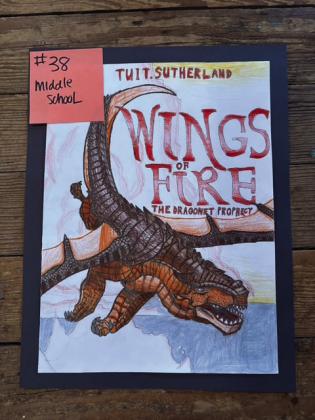 Middle School Winner: Colt Lloyd, for Wings of Fire