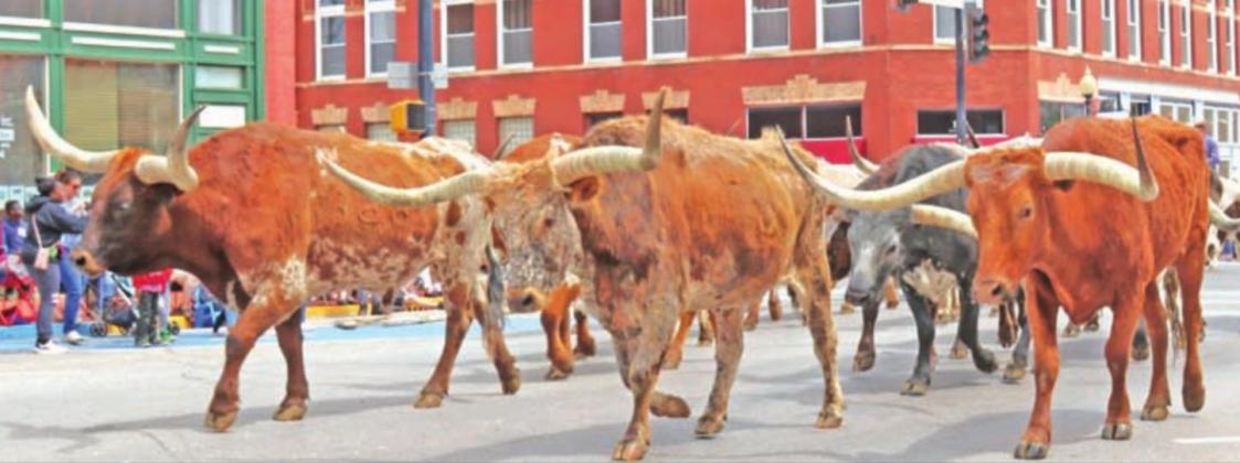 Photo by Mike Monahan Here come the Longhorns