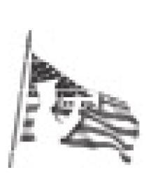 Alt Text for Image
