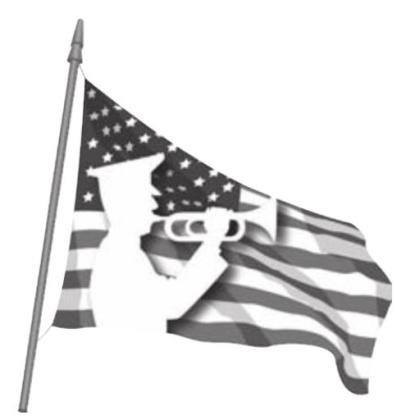 Alt Text for Image