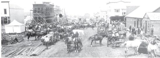 Alt Text for Image