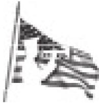 Alt Text for Image