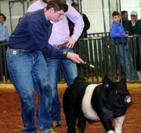 Steve Sanders with breed champion