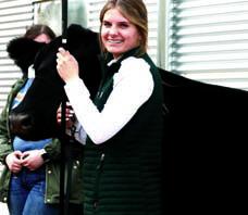 Steer Show