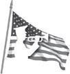 Alt Text for Image