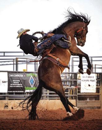 Rodeo
