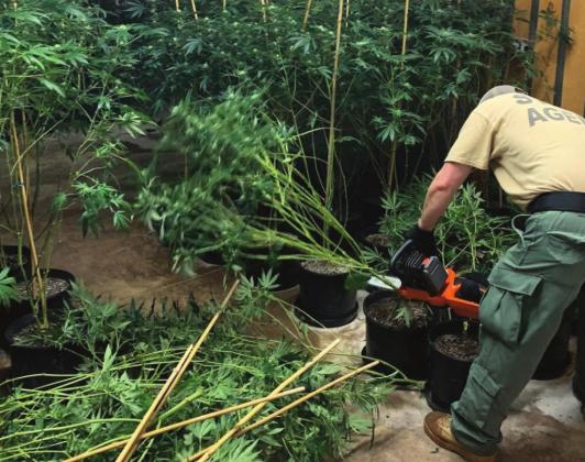 Photo courtesy of the Oklahoma Bureau of Narcotics