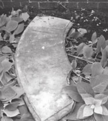 Vandalism at Apothecary Garden