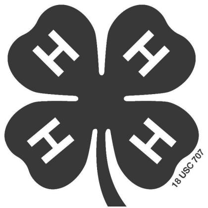 Alt Text for Image