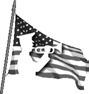 Alt Text for Image