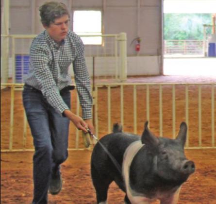 Brent Ingle shows his Market Barrow hog Saturday morning