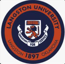 Alt Text for Image