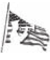 Alt Text for Image