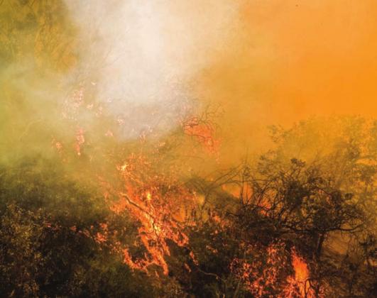 The burn ban was approved at the meeting and is effective immediately.