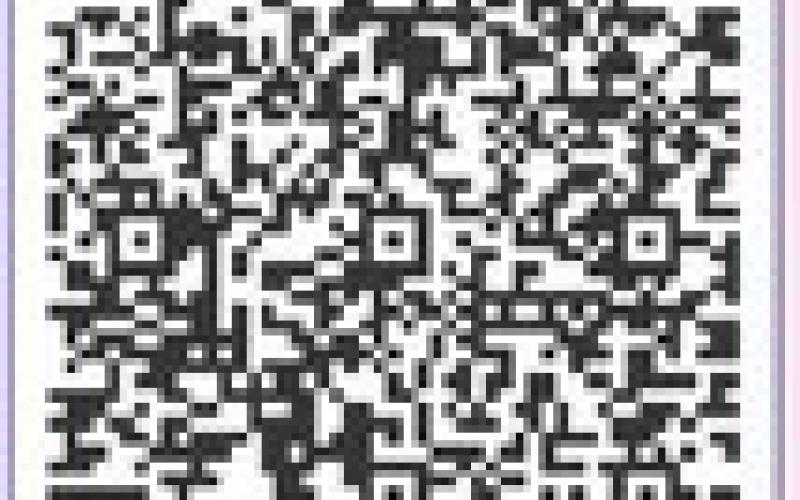Alt Text for Image