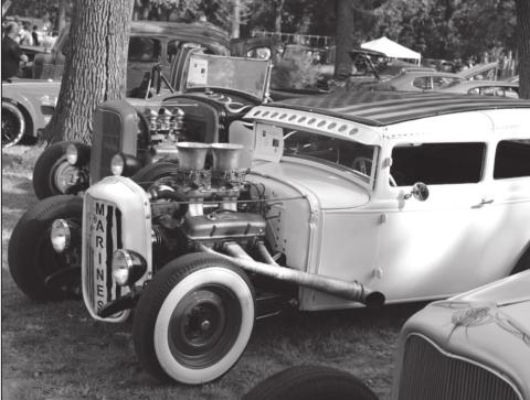 Alt Text for Image